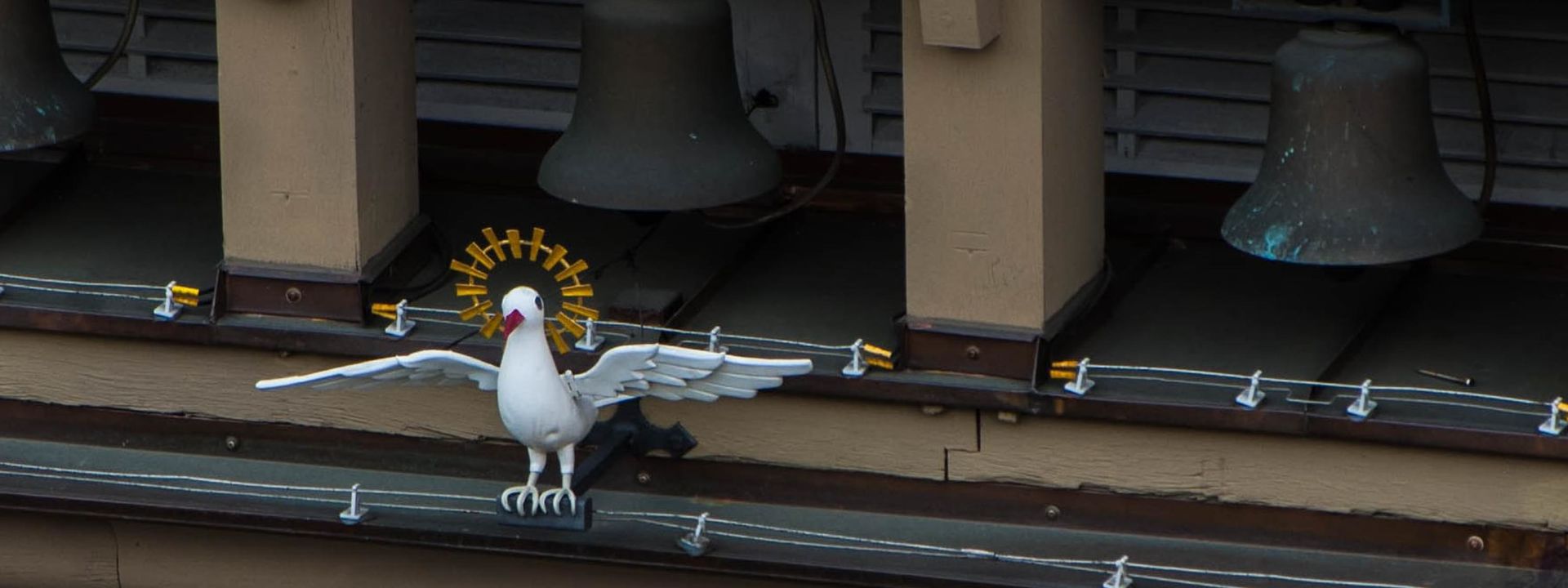 skulptur einer Möwe mit Heiligenschein